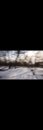3V0A7798insta