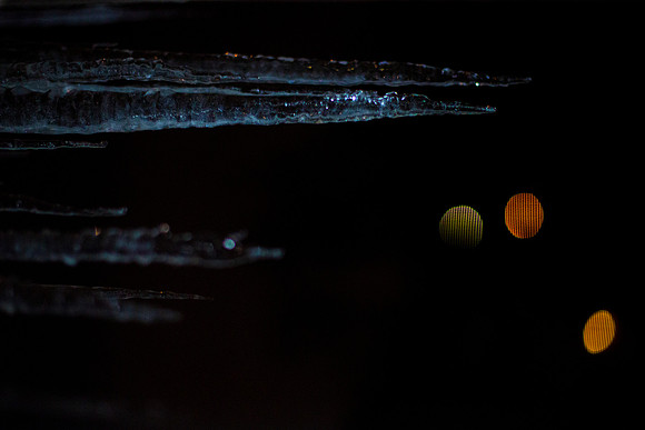Winter Night