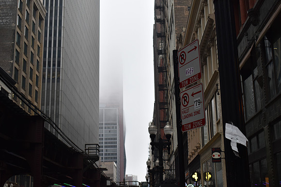 DSC_0381