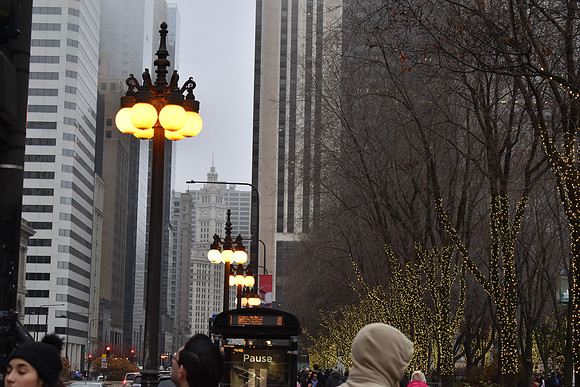 DSC_0414