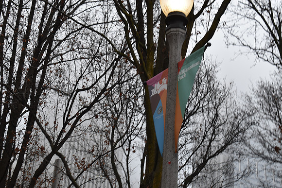 DSC_0419