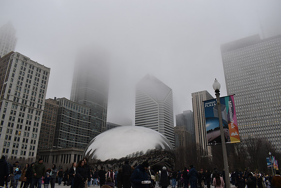 DSC_0421