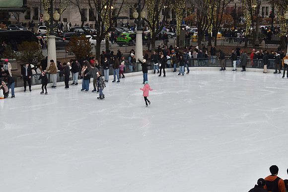 DSC_0445