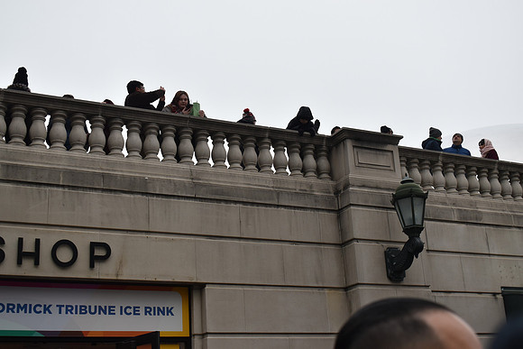 DSC_0517