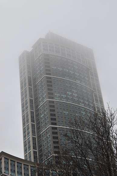 DSC_0539