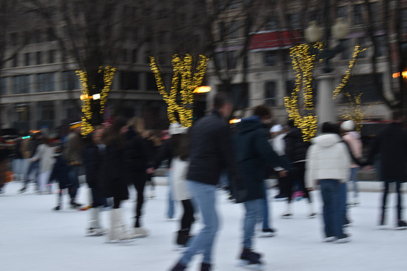 DSC_0541
