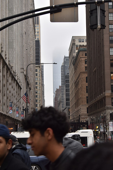 DSC_0548