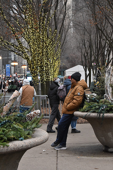 DSC_0549