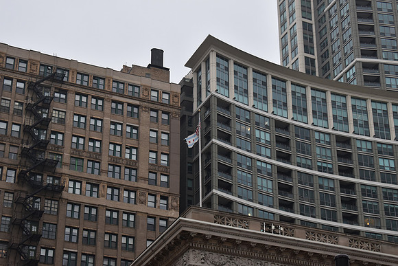 DSC_0555