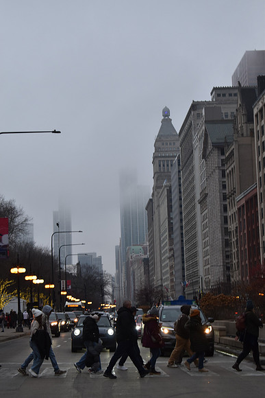DSC_0579