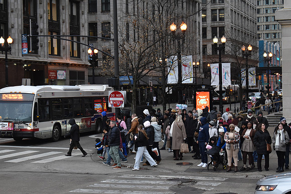 DSC_0585