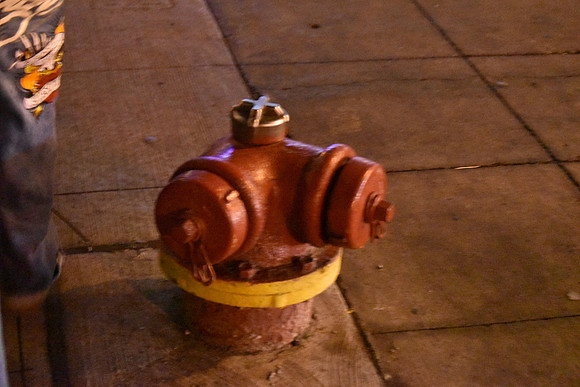 DSC_0662