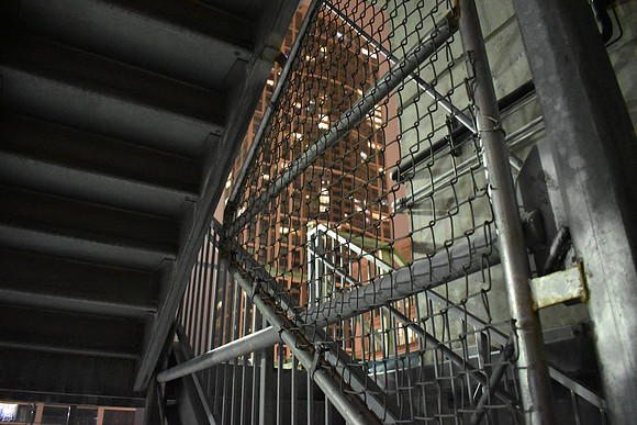 DSC_0730
