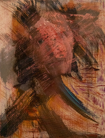 3V0A8251