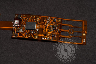 IMGL9450