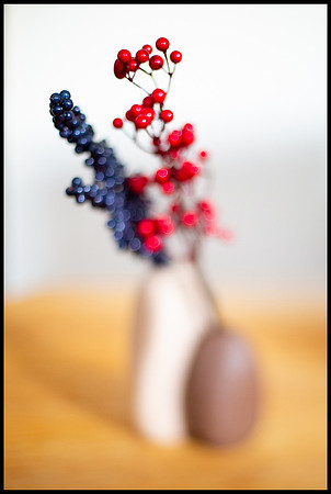 freelensing 1