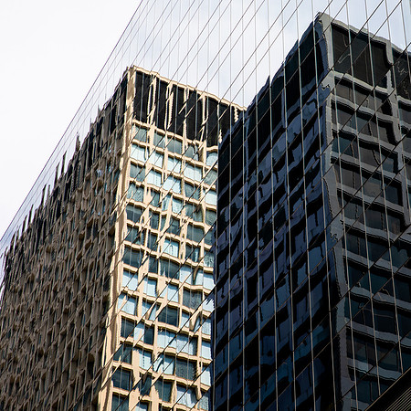 Reflected City