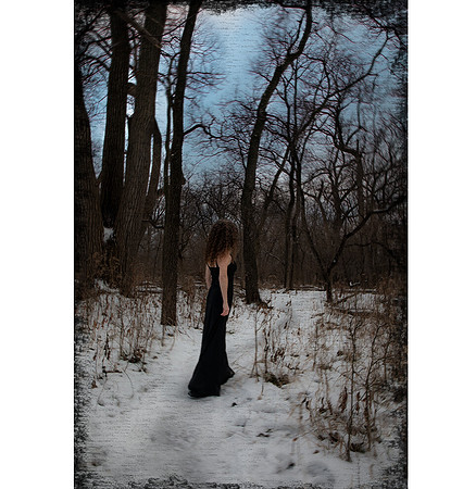 snow forest insta