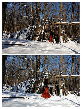 forest tales