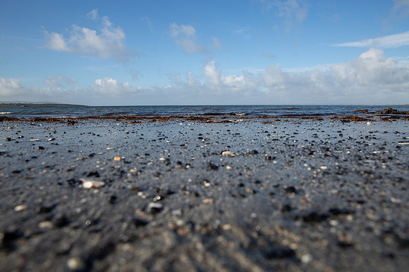 Sea Scape