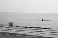 3V0A8854