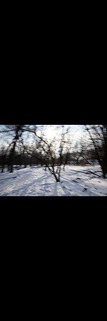3V0A7799insta